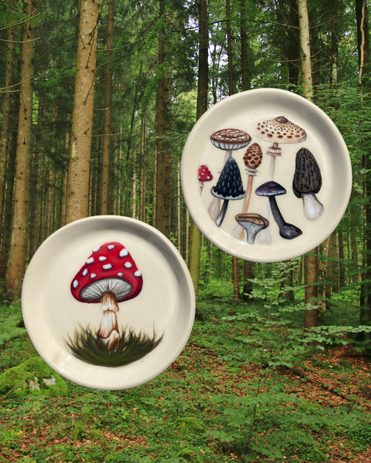 October 25th, 2pm to 4pm Mushroom Magic: Pottery Painting Workshop