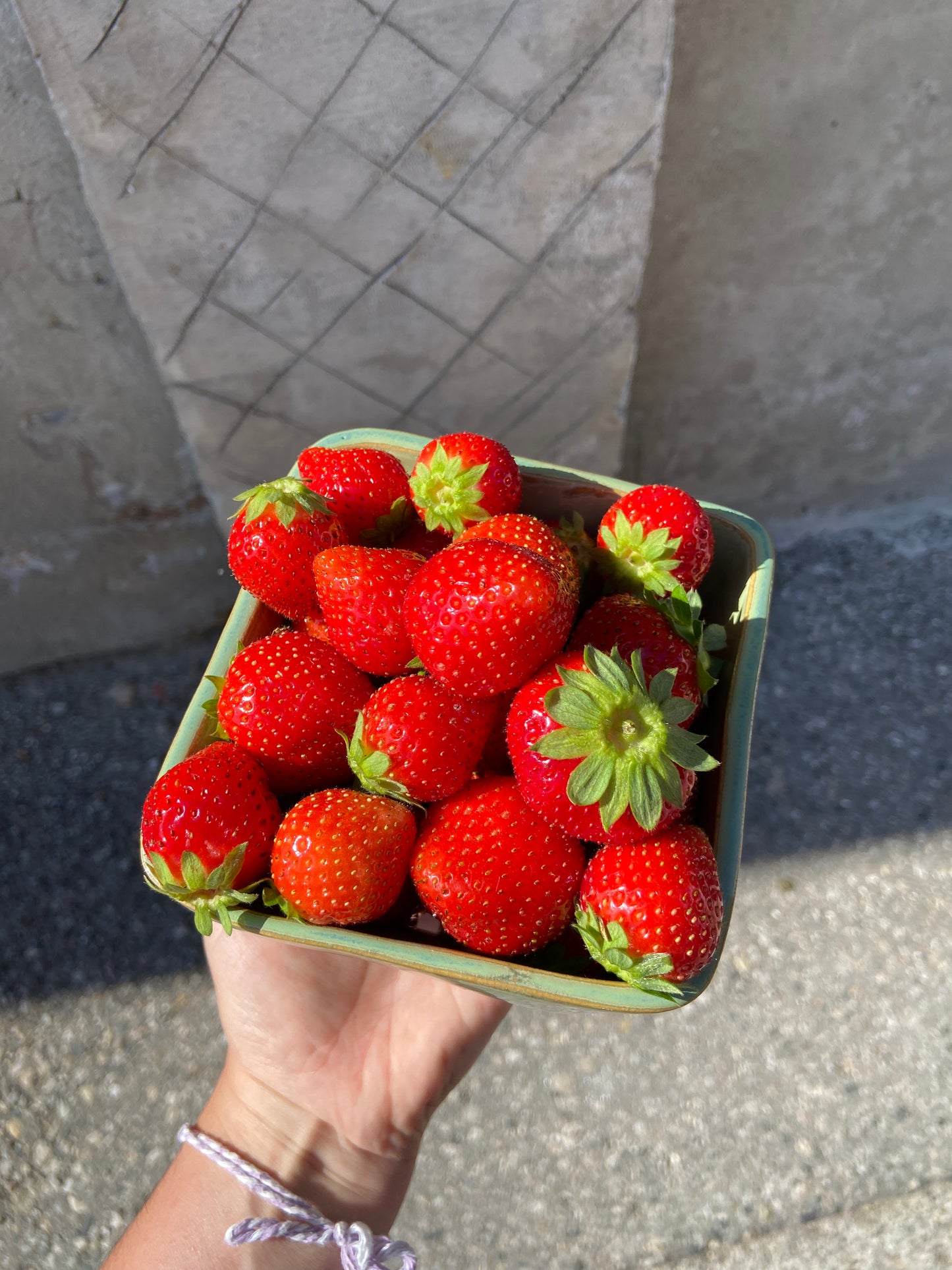 Berry Basket Making Workshop