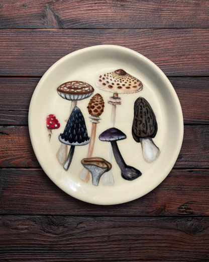 October 25th, 2pm to 4pm Mushroom Magic: Pottery Painting Workshop