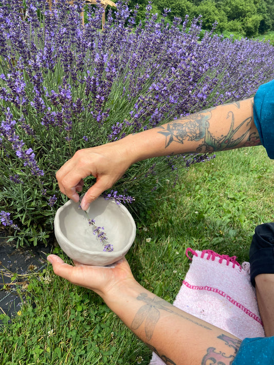 Golden Hour: A Pottery & Lavender Experience