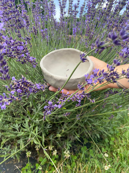 Golden Hour: A Pottery & Lavender Experience