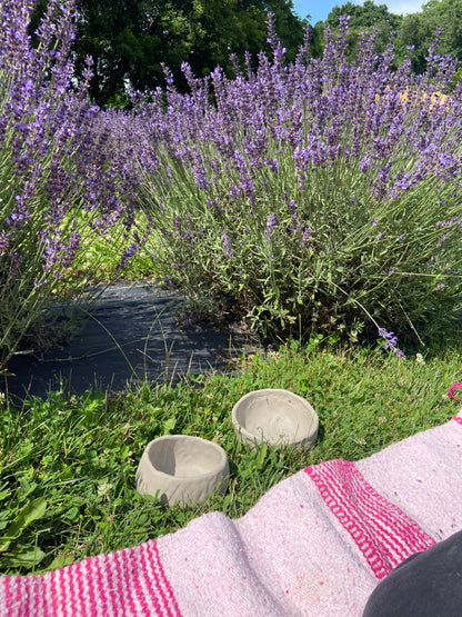 Golden Hour: A Pottery & Lavender Experience
