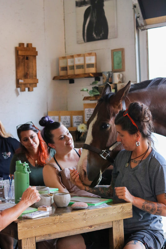 Halloween Ponies & Pottery Oct. 26th, 4:30pm to 6:30pm