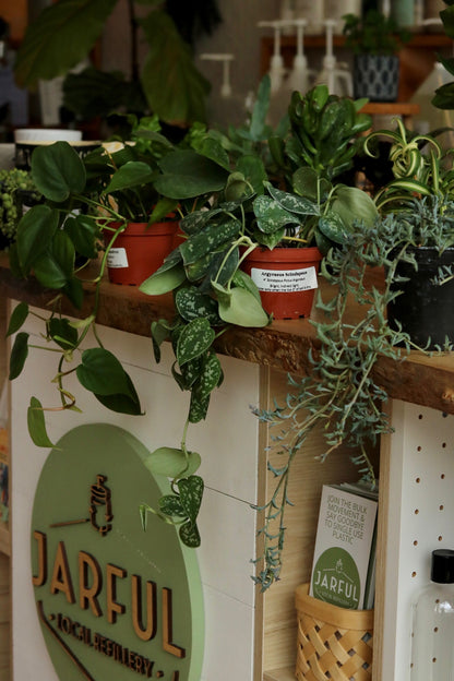 Plants & Pottery | July 26th & August 9th | 11am to 1pm