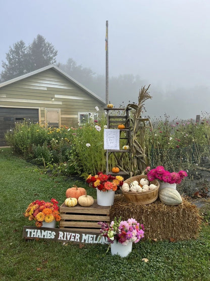 🎃 POTTERY IN THE PUMPKIN PATCH! 🎃 Pick & Sculpt | September 19th, 12–2 PM