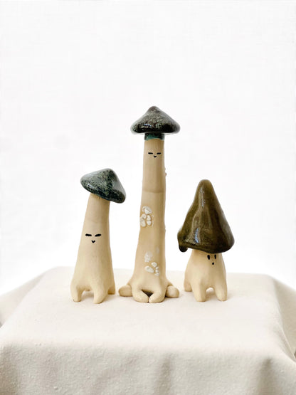 Shroomie Dude Workshop| August 21th, 6:00pm to 8:30pm