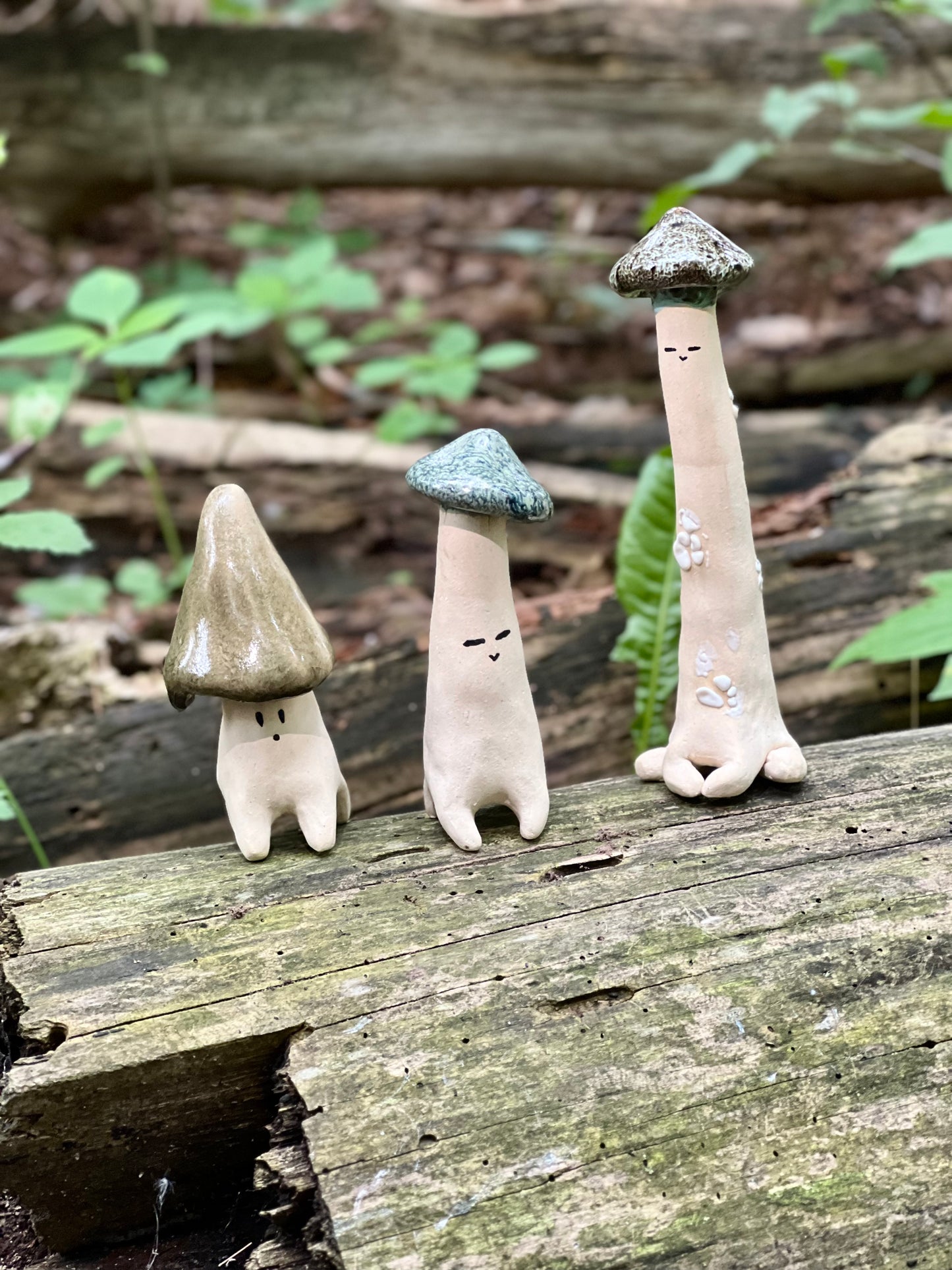 Shroomie Dude Workshop| August 21th, 6:00pm to 8:30pm
