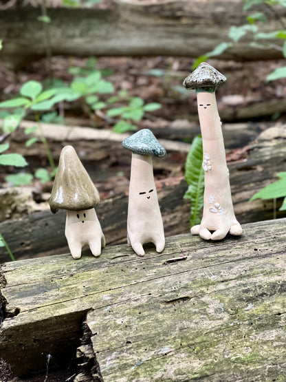 Shroomie Dude Workshop| August 21th, 6:00pm to 8:30pm
