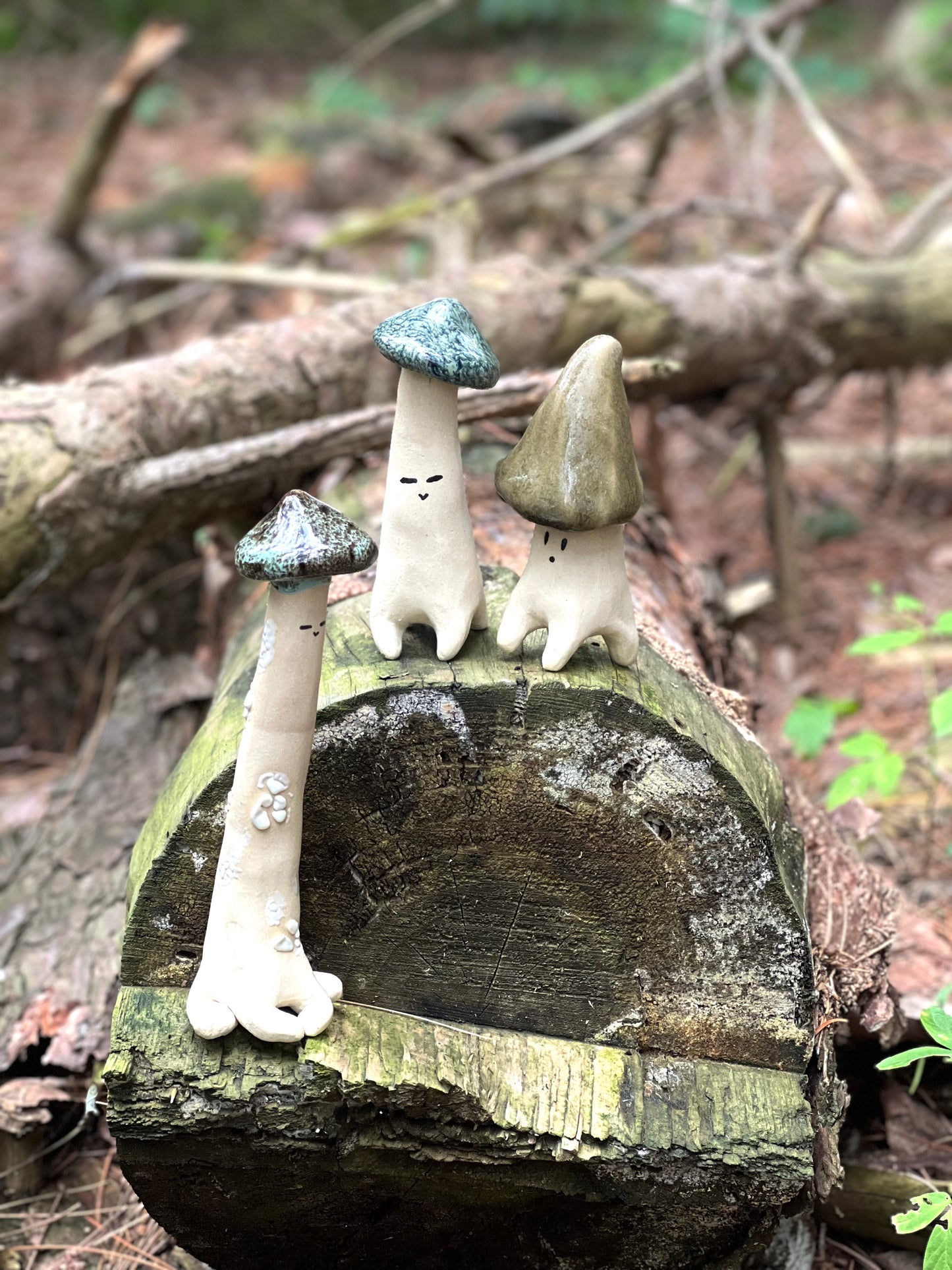 Shroomie Dude Workshop| August 21th, 6:00pm to 8:30pm