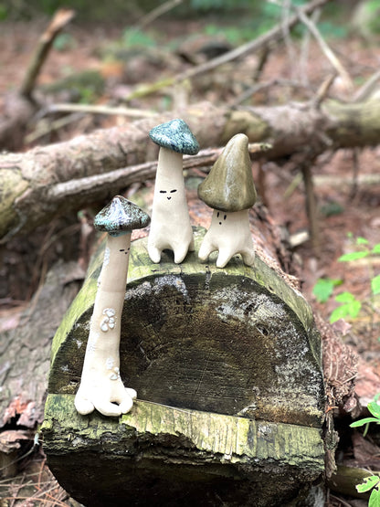 Shroomie Dude Workshop| August 21th, 6:00pm to 8:30pm