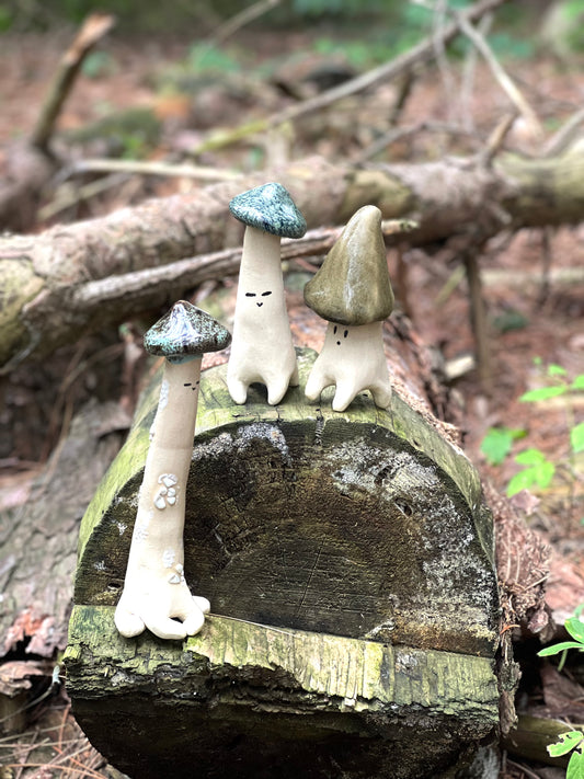 Shroomie Dude Workshop| August 21th, 6:00pm to 8:30pm
